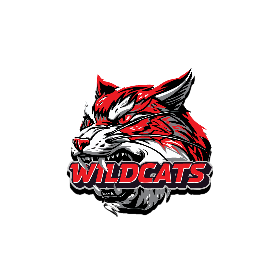 Wildcats - Beanie